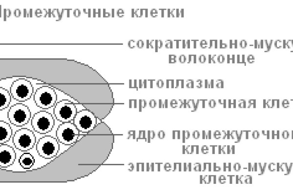 2krn cc официальный