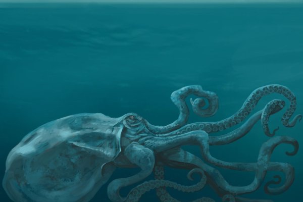 Что такое kraken в россии
