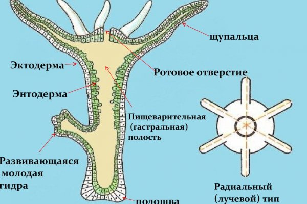 Kraken адрес onion