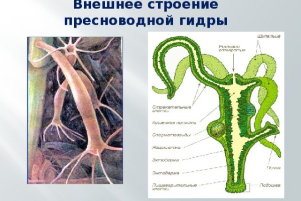 Как зайти на площадку кракен