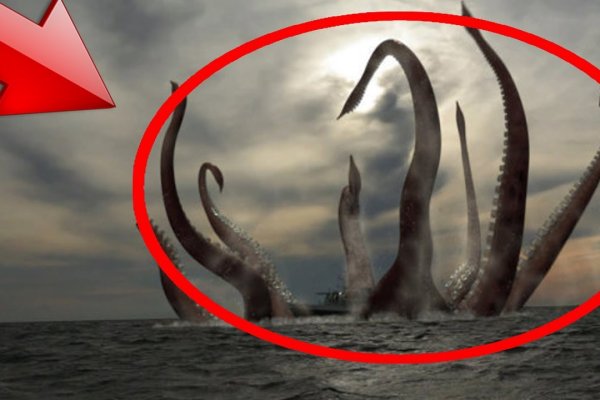 Kraken зеркало krakentor site