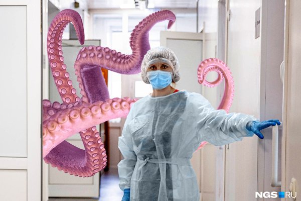 Kraken clear ссылка