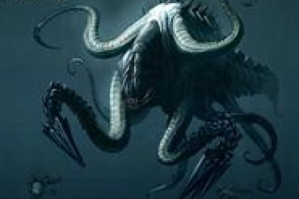 Kraken whitenet market ссылка