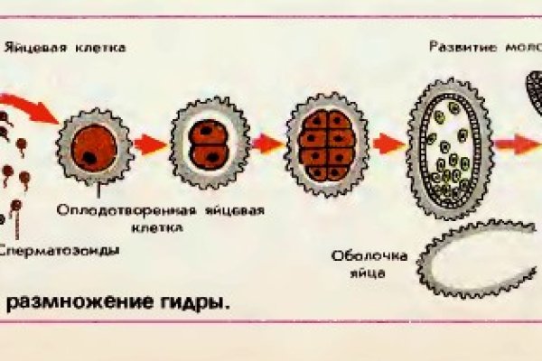Сайты типа гидры