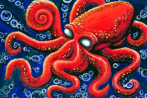 Kraken площадка