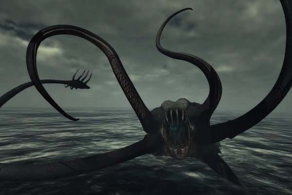 Kraken whitenet зеркала кракен обход