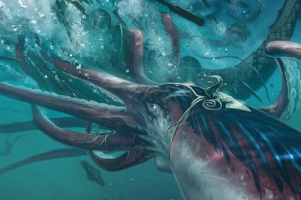 Kraken маркет whitenet только через tor скачать