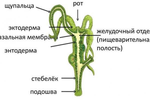 Кракен маркетплейс зеркало
