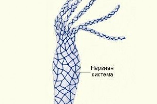 Кракен офф сайт