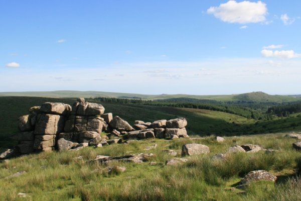 Кракен картель
