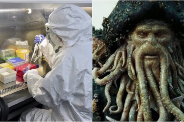 Kraken 25at