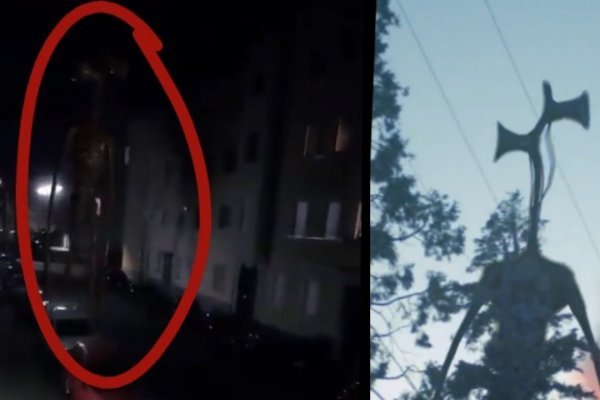 Сайты для супернета