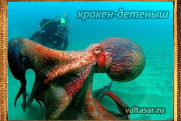 Kraken 12 at