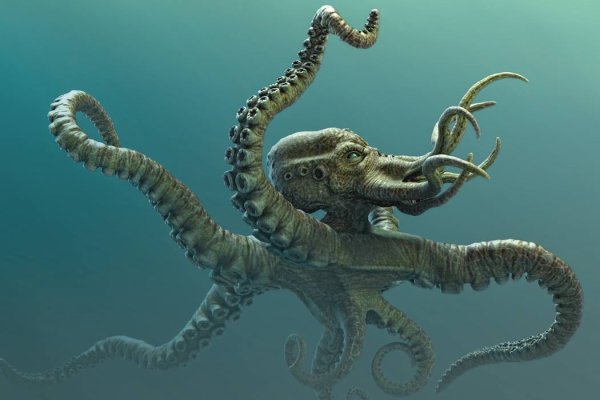 Кракен супернет ссылка kraken link24 info