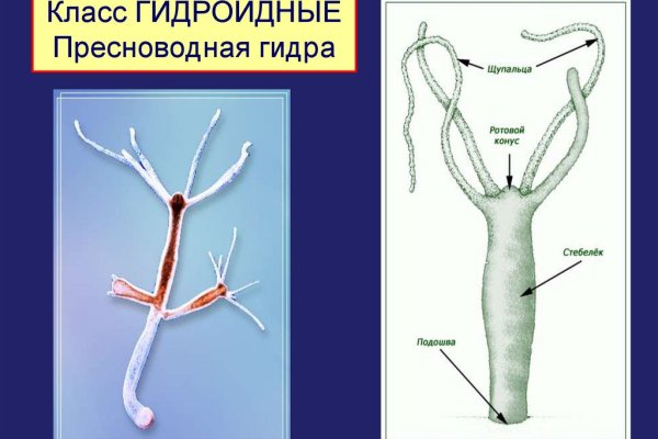 Сайт кракен что это такое