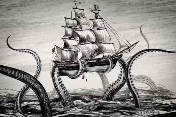Kraken площадка