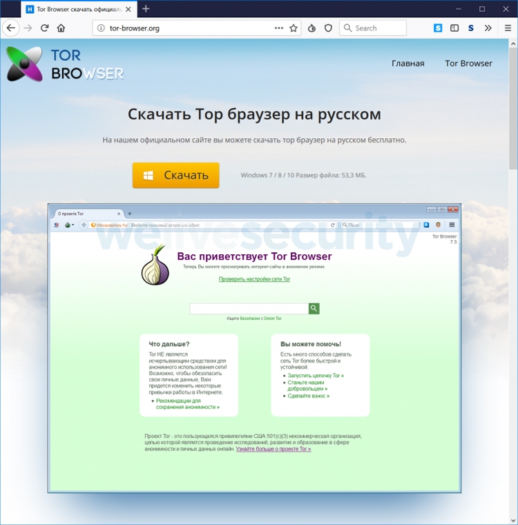 Kraken рабочее зеркало